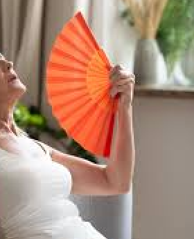 Menopause Hot Flushes Rescue Bundle